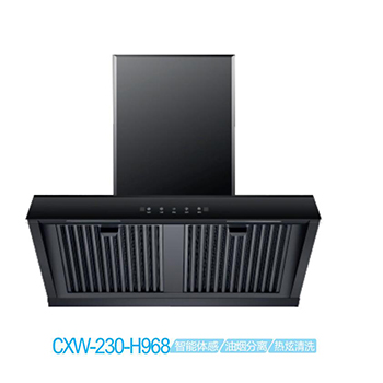 Range hood series