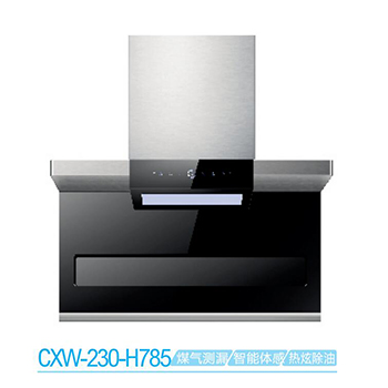 Range hood series